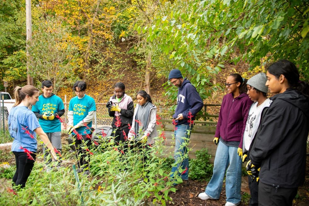 "Group of students gather around a community garden during a service project"